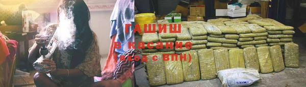 сатива Абинск