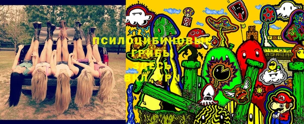 сатива Абинск