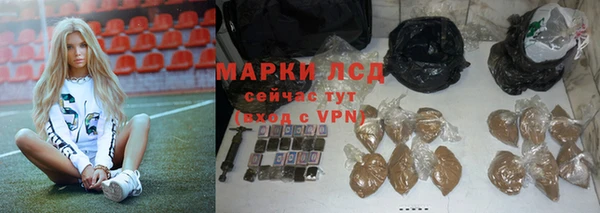 сатива Абинск